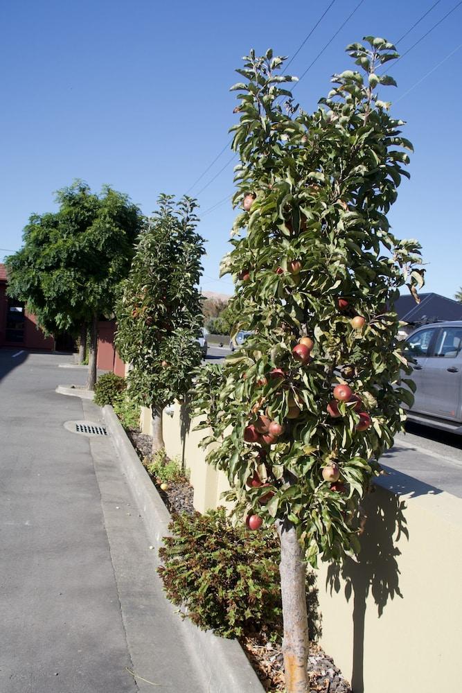 Blenheim Spa Motor Lodge Dış mekan fotoğraf